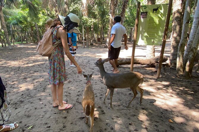 Half-Day Tour to Ventanilla, Mazunte, Zipolite and Puerto Angel - Is $59.68 a fair price?