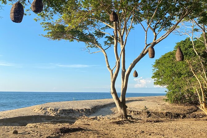 Hike and Yoga Jungle Experience in Mexico - The return walk is easier, but not effortless