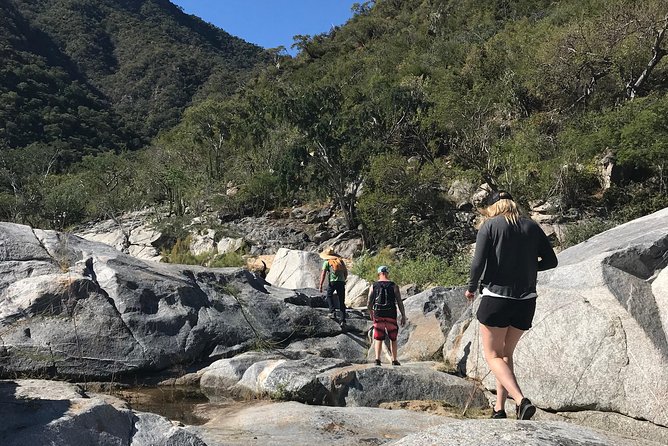 Hike the native Pericu road in Sierra de la Laguna. - What makes this Sierra de la Laguna hike special