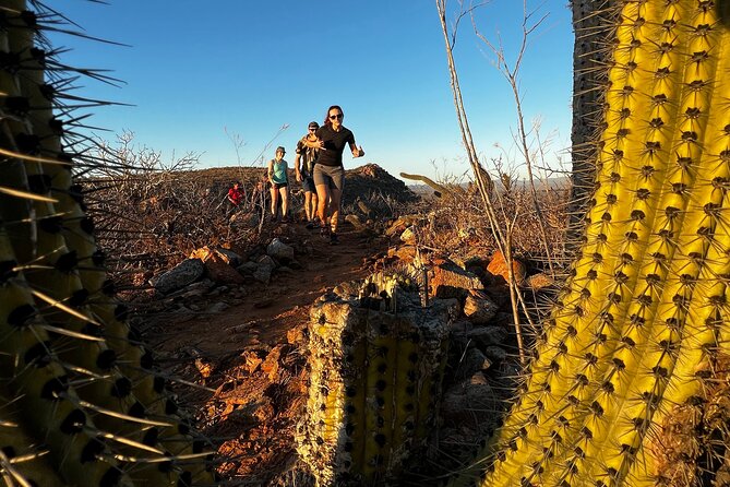 Hiking Todos Santos at Sunset - Why this Todos Santos outing feels different from a Cabo excursion