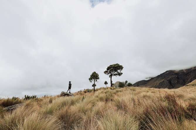 Hiking Tour on the Iztaccíhuatl Volcano from Puebla - Why the private price can be good value