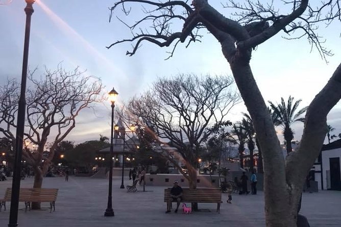 Historical and Cultural Walking Tour of San José del Cabo - Value, Group Size, and Practical Details