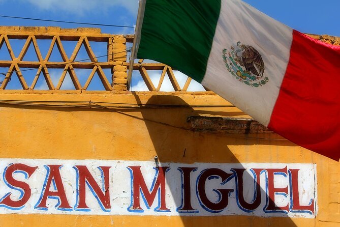 Historical and Cultural Walking Tour of San Miguel de Allende - Bellas Artes, where religious space became an art center
