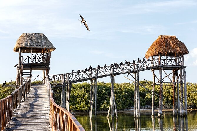 Holbox 3 Island Private Boat Tour - Is $346.50 a fair price?