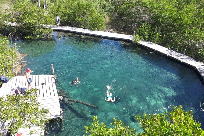 Holbox 3 Island Private Boat Tour - Yalahau Lagoon and its clear freshwater swim