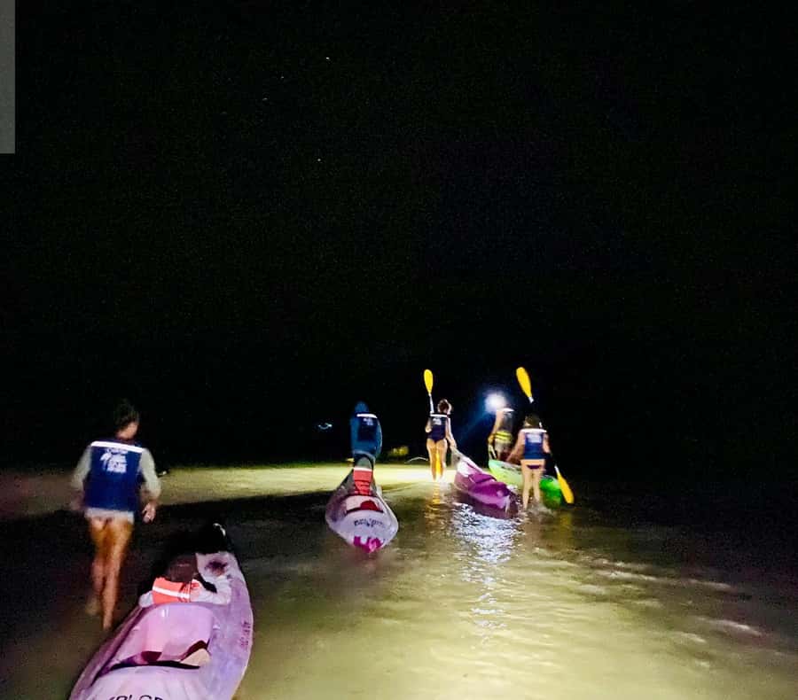 Holbox: Bioluminescence by Kayak and Stargazing. - A glowing night on Holbox