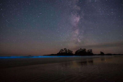 Guided Bioluminescence Kayaking Tour