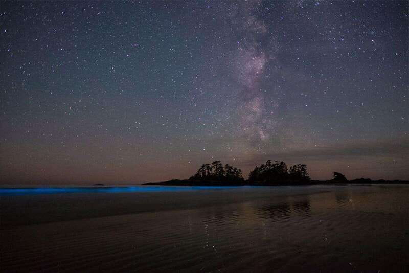 Holbox: Guided Bioluminescence Kayaking Tour - From Holbox beach to open water