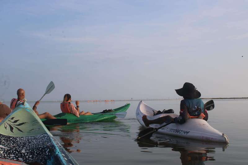 Holbox: Guided Sunrise/Sunset Kayak Tour by Mangrove Reserve - Sunrise in the Holbox mangroves