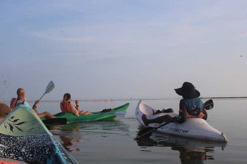 Holbox: Guided Sunrise/Sunset Kayak Tour by Mangrove Reserve - Language and guide quality