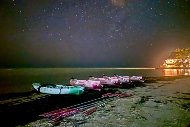 Holbox Kayak Bioluminescence Experience - Key points to know before you book
