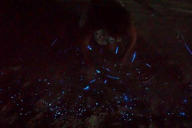 Holbox Kayak Bioluminescence Experience - Why the water glows at Punta Mosquito