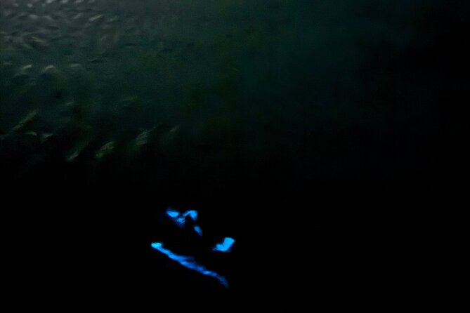 Holbox Kayak Bioluminescence Experience - Looking up at the Milky Way