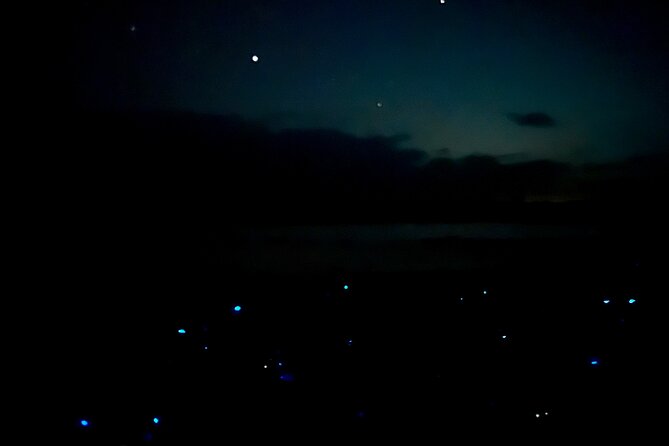 Holbox Kayak Bioluminescence Experience - Pickup, timing, and what you carry