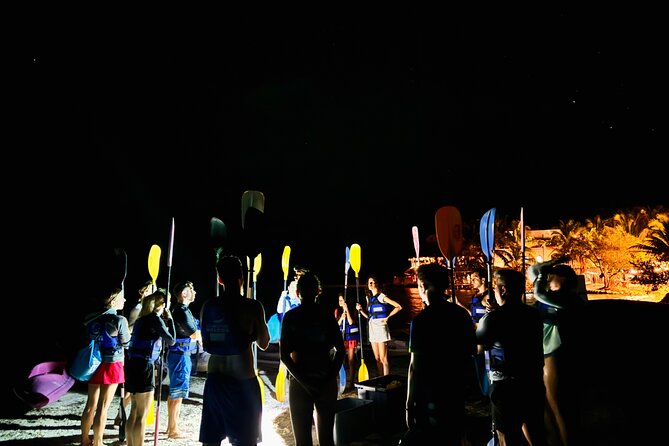 Holbox Kayak Bioluminescence Experience - How the 4.8 rating helps, and what it does not promise