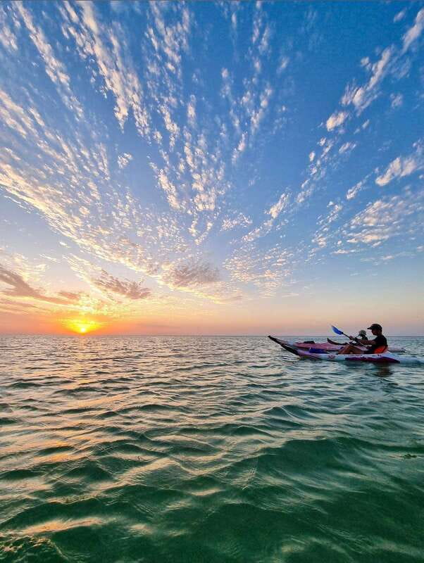 Holbox: Mangrove Sunset Kayak Tour - Birds You Might See Along the River