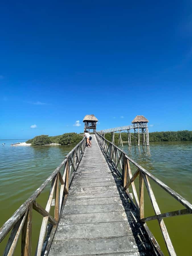 Holbox: Punta Mosquitos, Yalahau, & Pasión Island Boat Tour - Should you book the Punta Mosquitos, Yalahau, and Pasión Island tour?