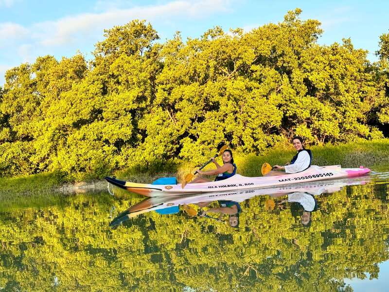 Holbox: Sunrise & Mangrove Kayak Tour - Key points before you book
