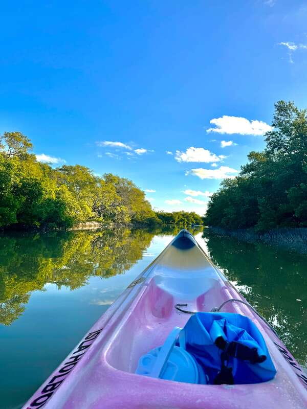 Holbox: Sunrise & Mangrove Kayak Tour - A fruit snack in the mangroves