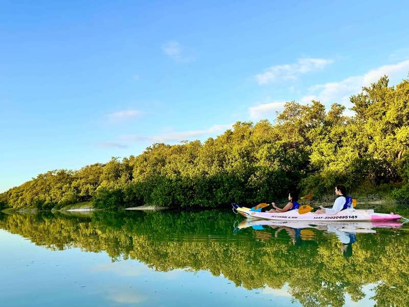 Holbox: Sunrise & Mangrove Kayak Tour - Is $49 a fair price?