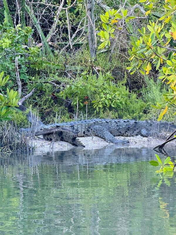 Holbox: Sunrise & Mangrove Kayak Tour - The first paddle is the hardest part