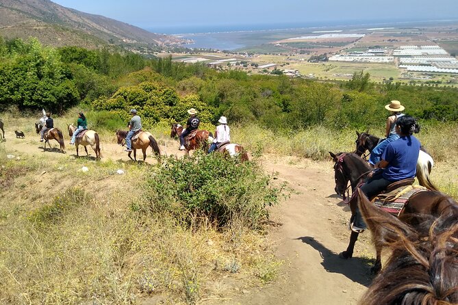 Horseback Mountain Trail Ride - The best part is the view from the top