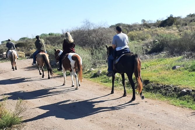 Horseback Mountain Trail Ride - Cruise-port timing needs careful planning