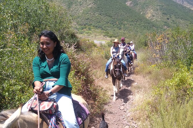 Horseback Mountain Trail Ride - Gentle horses and a friendly ranch setting