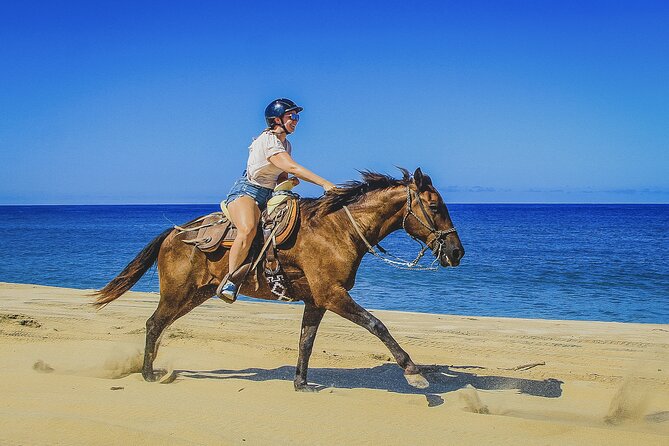 Horseback Riding Beach and Desert in Cabo - The desert trail: rugged views, mostly walking