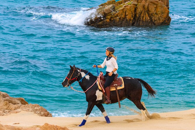 Horseback Riding Beach and Desert in Cabo - Timing, weather, and cancellation