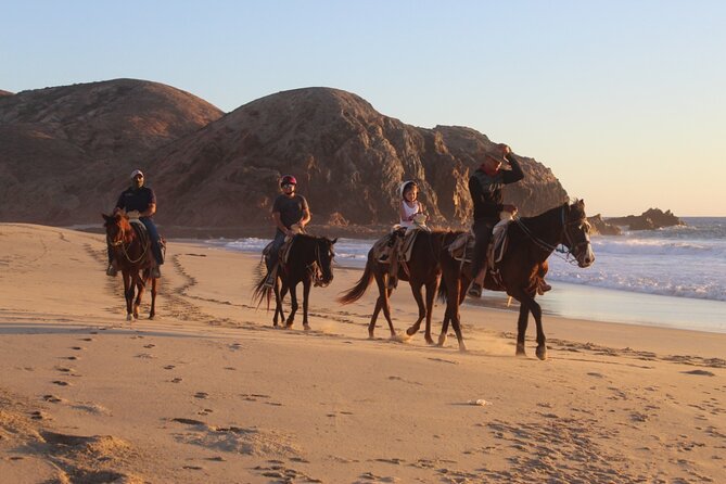 Horseback Riding Experience in Rancho San Cristobal - From the ranch to the saddle