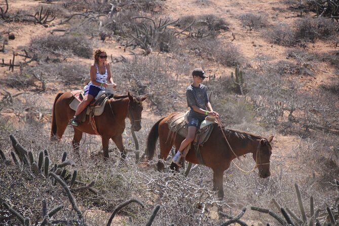 Horseback Riding Experience in Rancho San Cristobal - Practical advice for a smoother ride