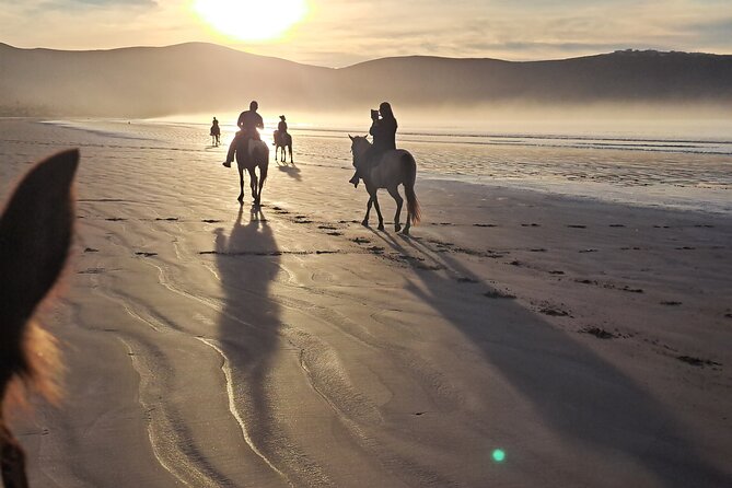 Horseback Riding on the Beach from Ensenada - The 90-minute route along the coast