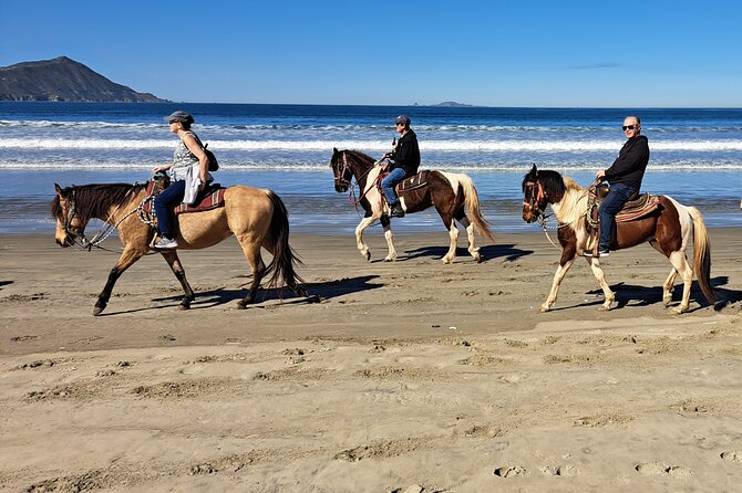 Horseback Riding on the Beach from Ensenada - Cruise-port timing and transport