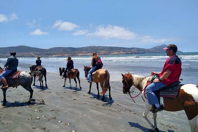 Horseback Riding on the Beach from Ensenada - Choosing and meeting your horse