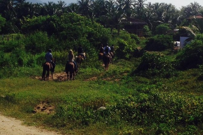 Horseback Riding on the Beach - Key points to know before you book