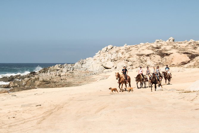 Horseback Riding Tour in Cabo San Lucas - Reaching the Pacific beach