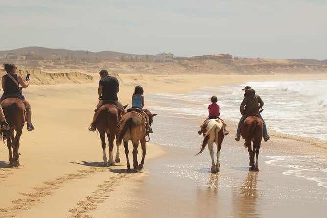 Horseback Riding Tour in Cabo San Lucas - Photos, water, and the conservation work