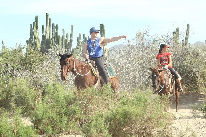 Horseback Riding Tour in Cabo San Lucas - Who should book this Cabo horseback ride?