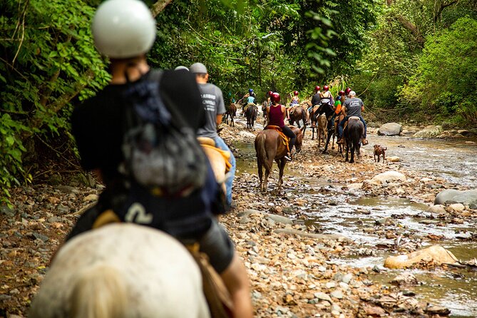 Horseback Riding Tour in Sierra Madre from Puerto Vallarta - Back at Rancho Capomo, lunch becomes part of the attraction