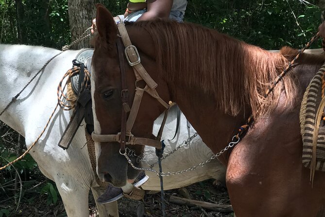 Horseback riding with ATV, zip lines and cenote, lunch and transfer - Pickup, group size and what to pack