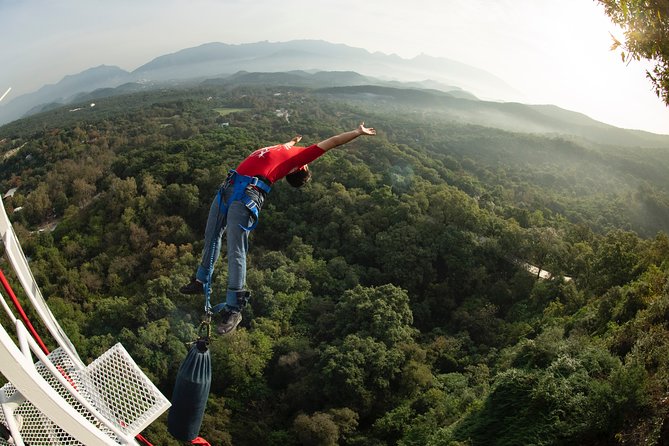 IBO Bungee en Cola de Caballo - Who Will Enjoy This Most