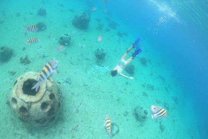 Invisible Boat Snorkeling Tour - Columbia Reef and the offshore viewing areas