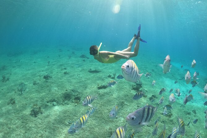 Invisible Boat Snorkeling Tour - Snorkeling gear, safety, and getting in the water