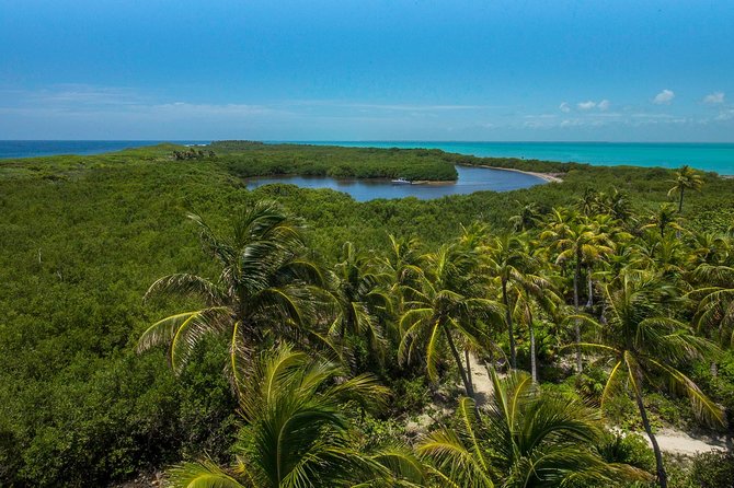 Isla Contoy and Isla Mujeres Tour with Snorkeling from Cancun - Isla Mujeres offers a sharp change of pace