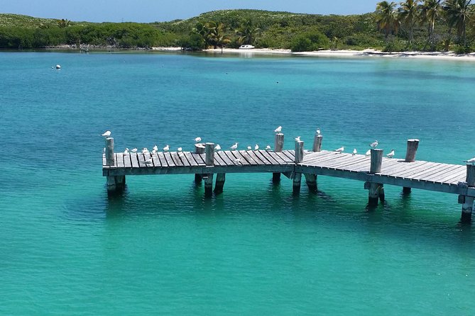 Isla Contoy and Isla Mujeres Tour with Snorkeling from Cancun - Snorkeling at Ixlache Reef