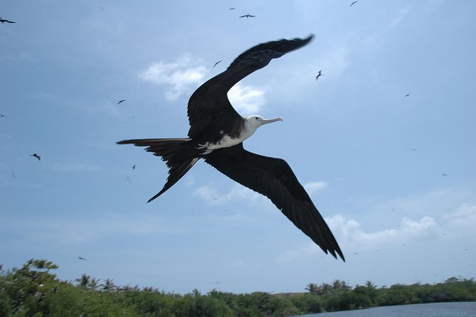 Isla Contoy Eco Adventure - The return ride is part of the entertainment