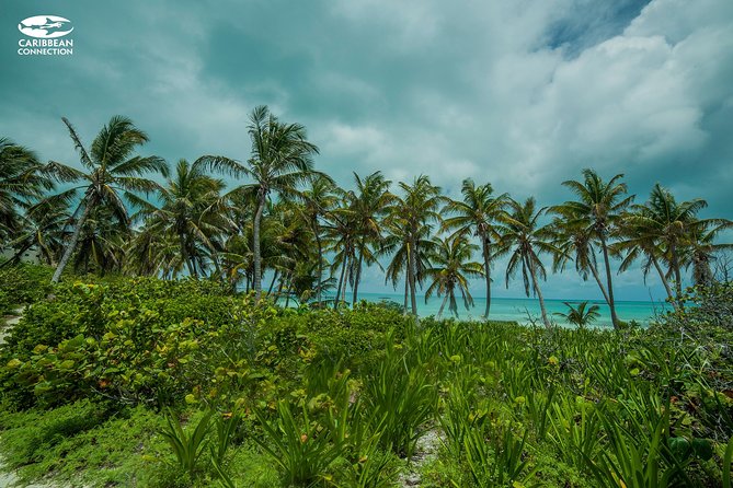 Isla Contoy Eco Adventure - Is the $140 price fair?