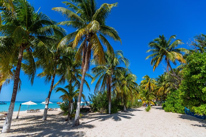 Isla Mujeres Catamaran, Open Bar & Optional Buffet and pick up - Beach-club time on Isla Mujeres