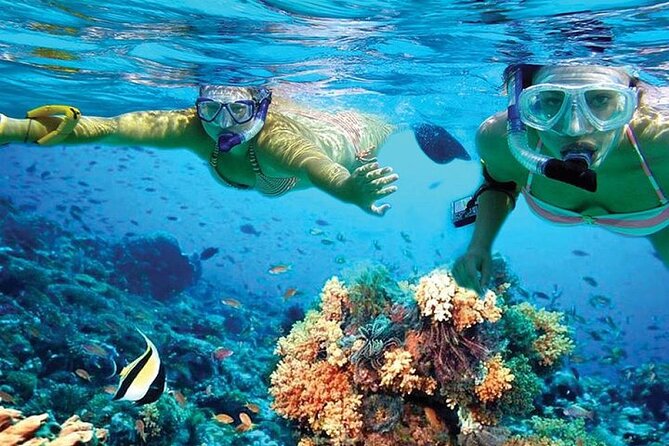 Isla Mujeres Catamaran, Open Bar & Optional Buffet and pick up - Exploring the center of Isla Mujeres